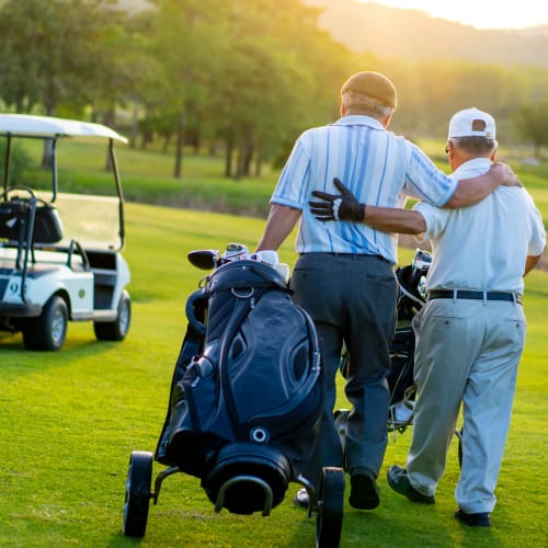 Golf players