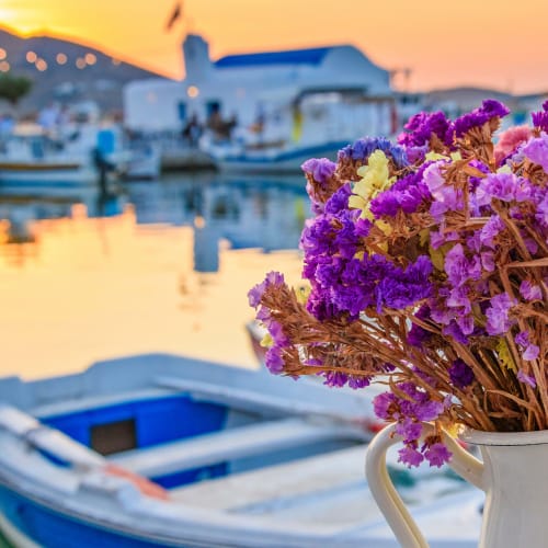 Paros, Naoussa, Vase of flowersAC