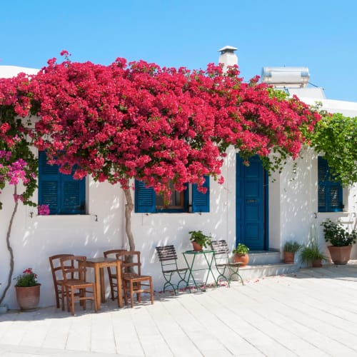 Paros house with flowers