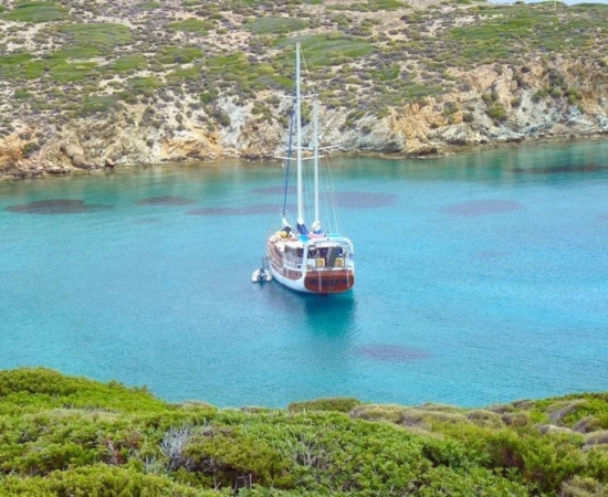 m/s Anatolie