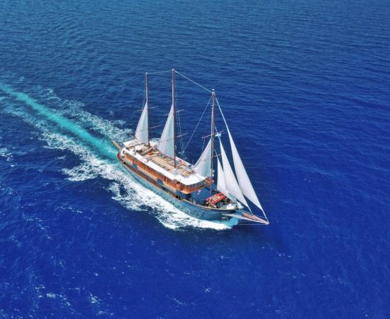 m/s Galileo. View from air.