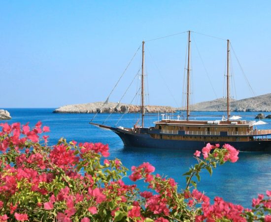 m/s Galileo behind beautiful flowers m/s Galileo behind beautiful flowers