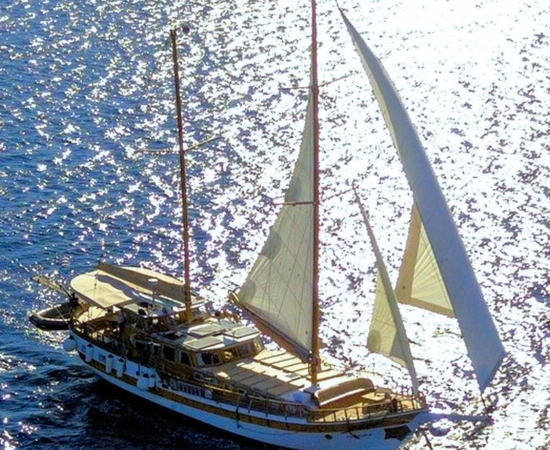 Syrolana top