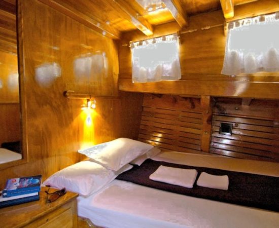 Syrolana standard plus