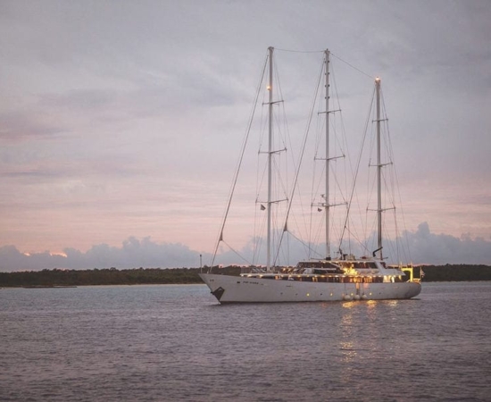 m/s Panorama at dusk