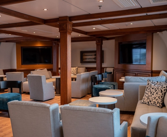 Elysium interior
