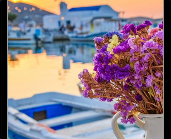Paros, Naoussa, Vase of flowersAC