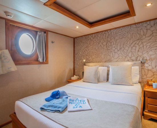 m/s Galileo cabin category A double m/s Galileo cabin category A double