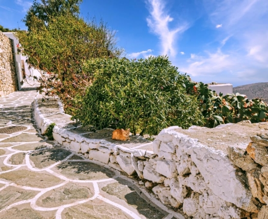 Skiathos Island, an alley