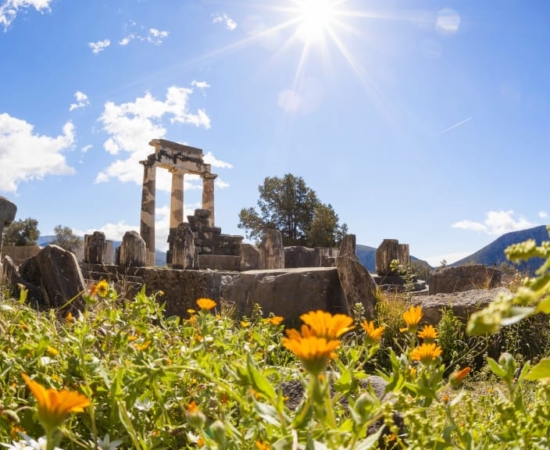 Delphi