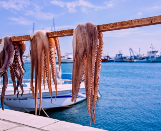 Paros Island, food preparation