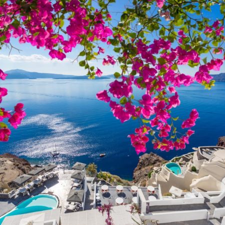 View from Santorini Island, blue sea and a bougainvillea.