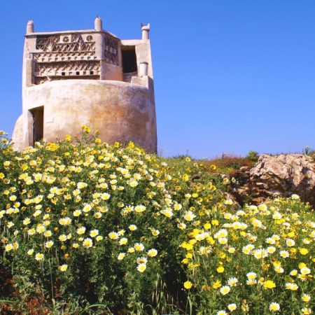 Tinos pigeon house.