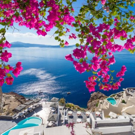 Santorini with flowers